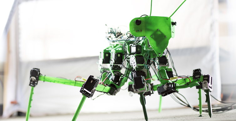 preying mantis robot